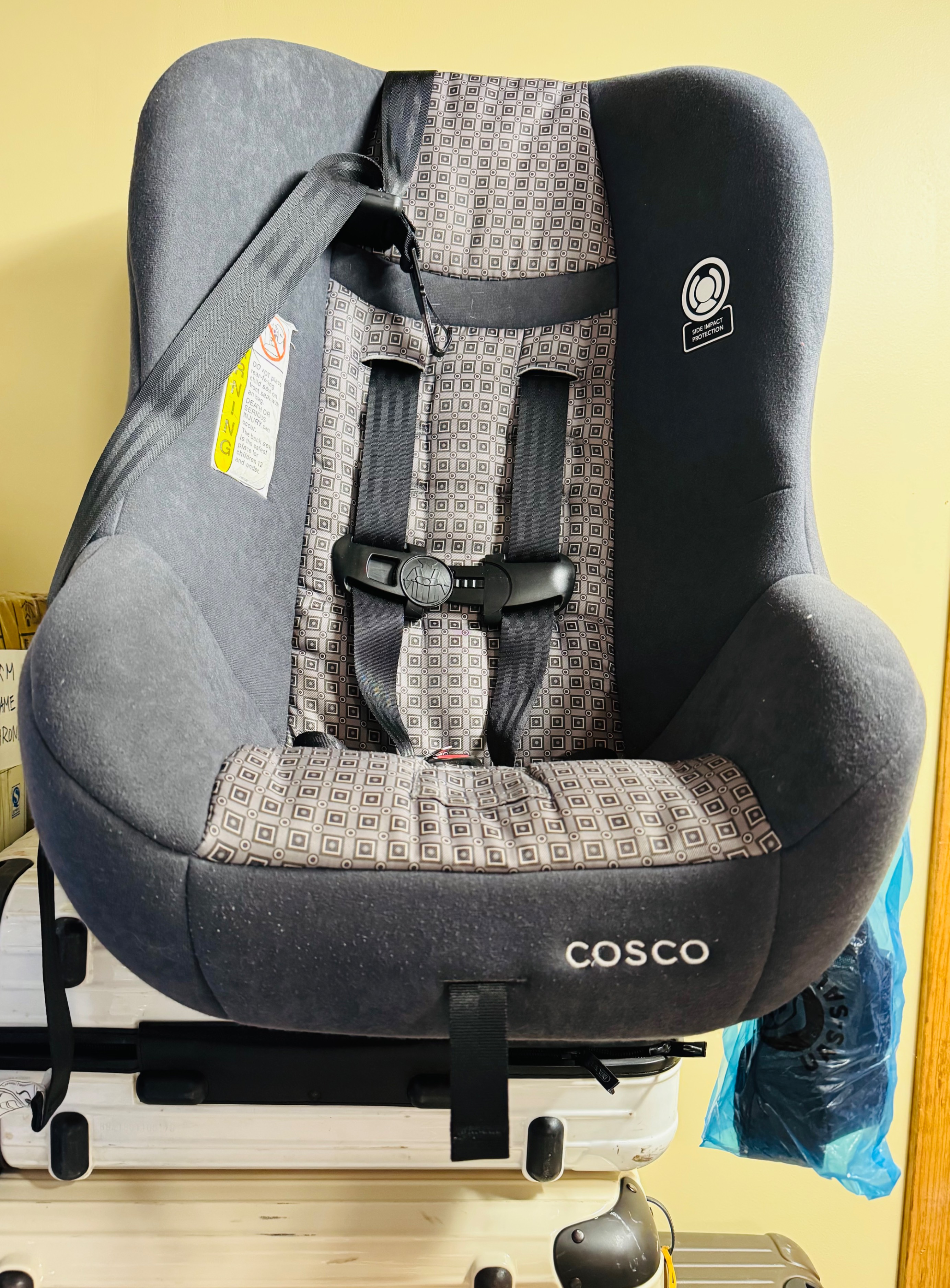 The Cosco Scenera Car Seat / 0 - 4 years