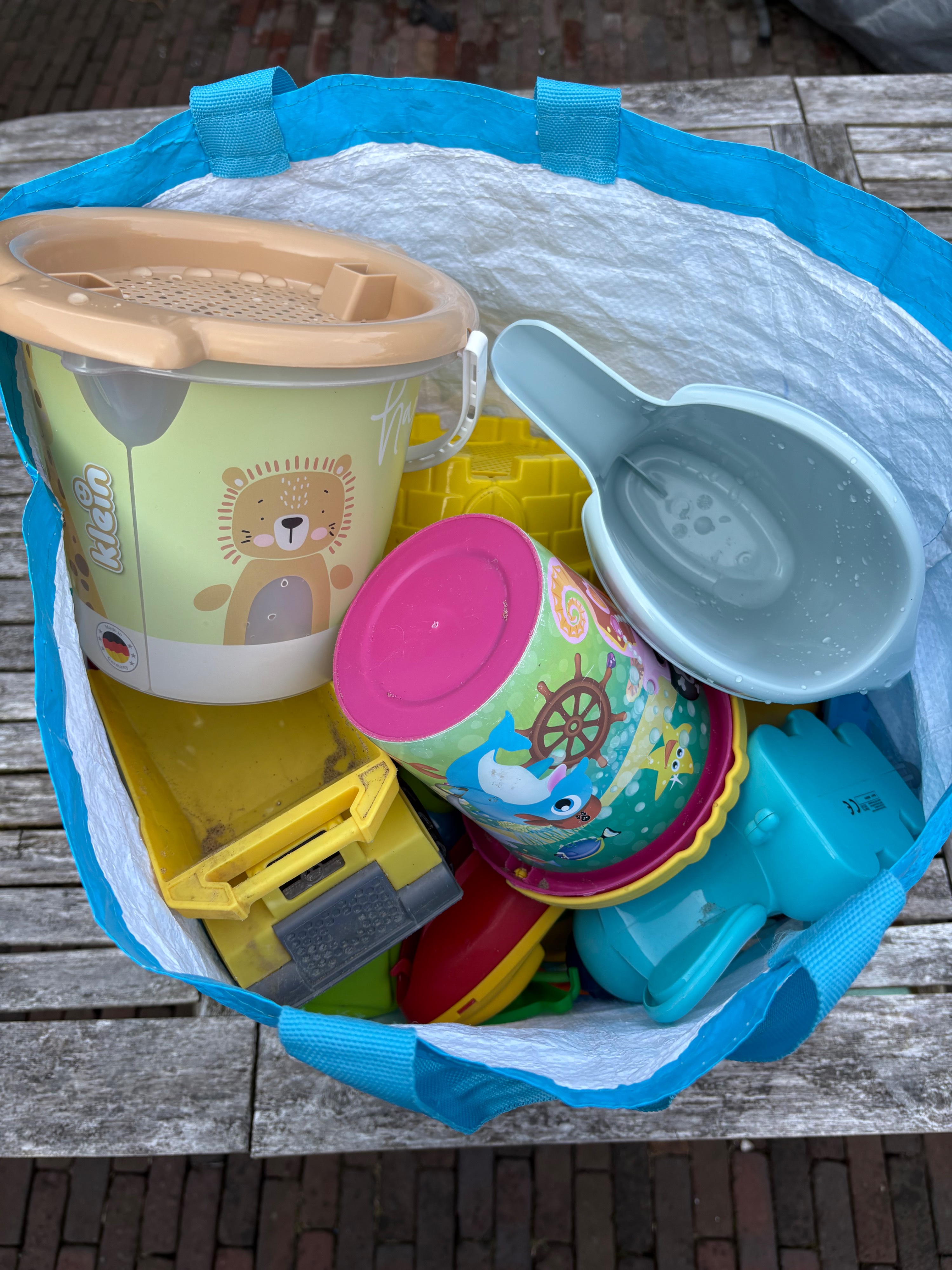 Bag of beach toys