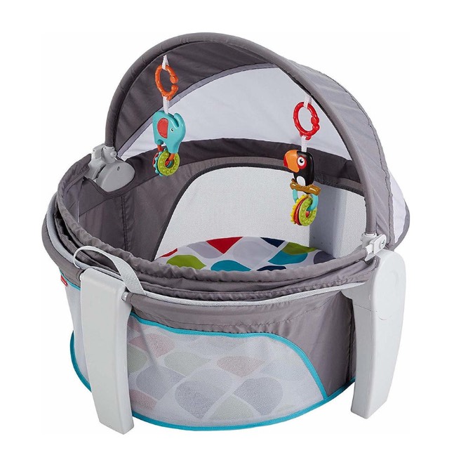 Fisher Price Dome