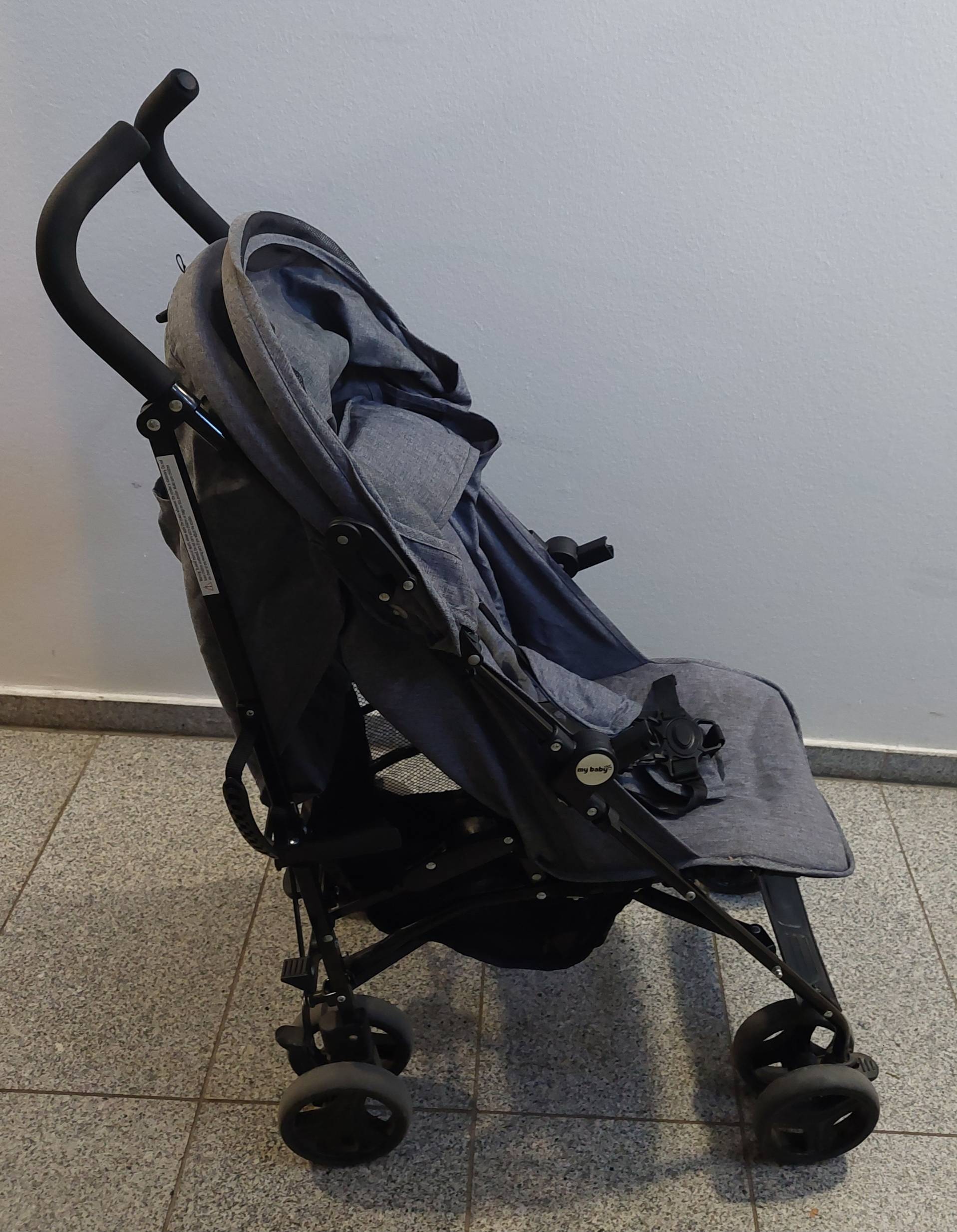 Travel buggy